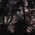 P1190534