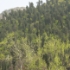 P1180385
