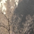 P1180491