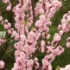 P1180541