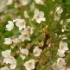 P1180712