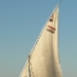 P1170545
