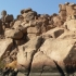 P1170661