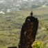 P1190017