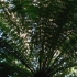 P1190055