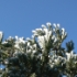 P1190069