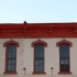 P1190279