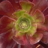 P1180236