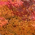 P1260187