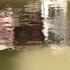 L1590598