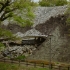 Kumamoto Castle 熊本城