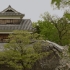 Kumamoto Castle 熊本城