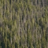 Vail