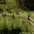 Vail