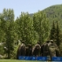 Vail