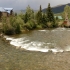 Silverthorne