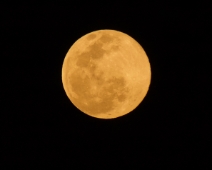 L1750166