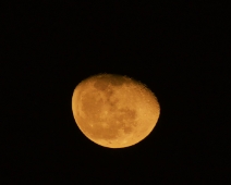 L1750173