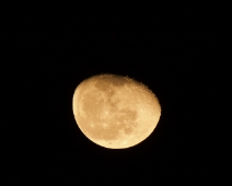 L1750180