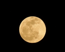 L1750333