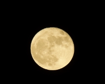 L1770159