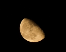L1770169
