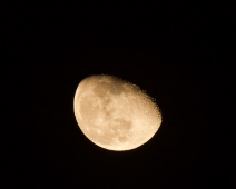L1770232