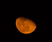 L1770239