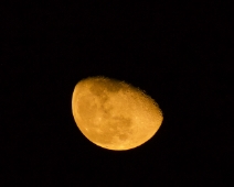 L1770244