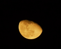 L1770246