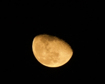 L1770251