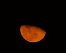 L1770259