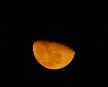L1770263