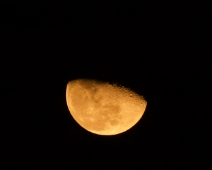 L1770275