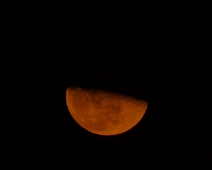 L1770280
