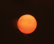 L1750188
