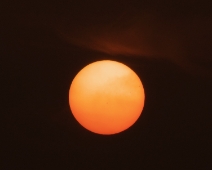 L1750190
