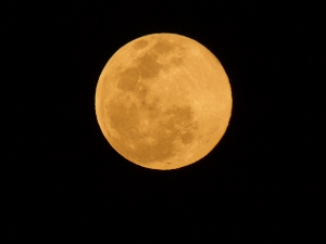 Moons