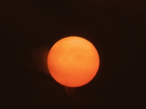 Suns