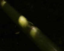 L1760405