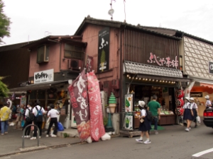 清水寺 Kiyomizu Temple