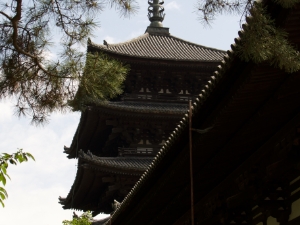 興福寺 Kofukuji Temple